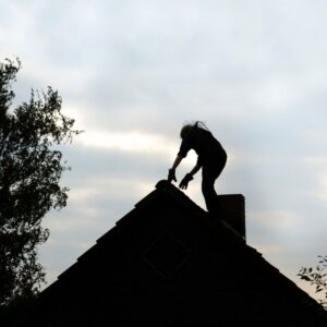 %Title% | Sureglow Stove &Amp; Chimney a silhouette of a chimney technician on a roof by a chimney