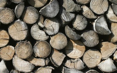 Best Firewood for Clean-Burning, Long-Lasting Fires