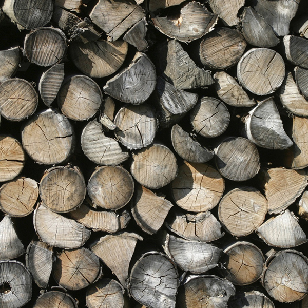 Best Firewood for Clean-Burning, Long-Lasting Fires