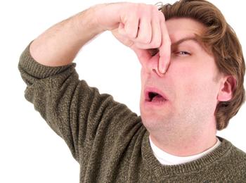 Chimney smells in Lenexa KS